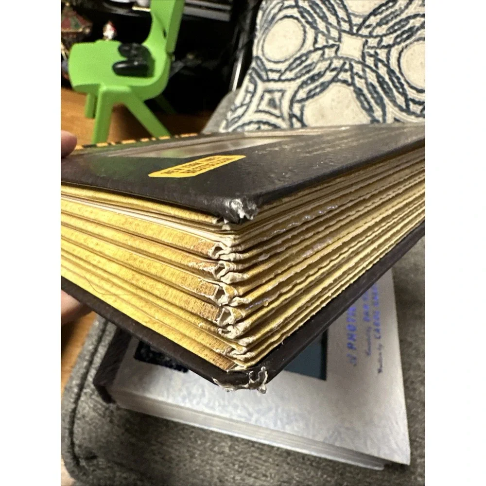 Polar/ Safari Photicular Book  Book Lot Holographic?